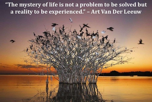 Tổng hợp những câu danh ngôn tiếng anh hay