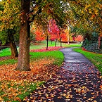 Trắc nghiệm tình yêu