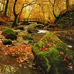 trắc nghiệm tình yêu 