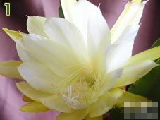 Trắc nghiệm tình yêu