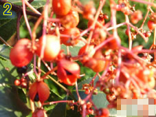 Trắc nghiệm tình yêu 