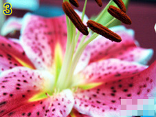 Trắc nghiệm tình yêu 