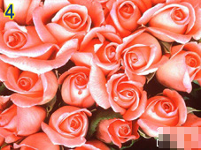 trắc nghiệm tình yêu