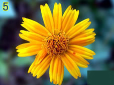 trắc nghiệm tình yêu 