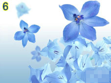 trắc nghiệm tình yêu 