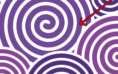 phân biệt màu sắc 