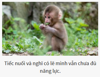 Bạn là vị chúa tể nào của thế giới hoang dã?