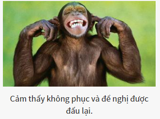 Bạn là vị chúa tể nào của thế giới hoang dã?