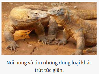 Bạn là vị chúa tể nào của thế giới hoang dã?