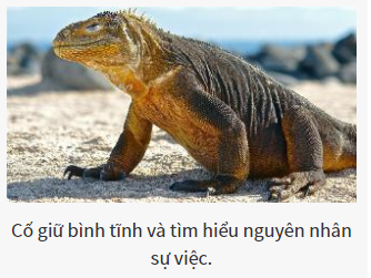 Bạn là vị chúa tể nào của thế giới hoang dã?