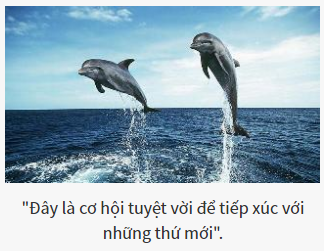 Bạn là vị chúa tể nào của thế giới hoang dã?