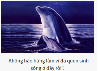 Bạn là vị chúa tể nào của thế giới hoang dã?