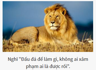 Bạn là vị chúa tể nào của thế giới hoang dã?