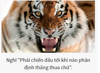 Bạn là vị chúa tể nào của thế giới hoang dã?