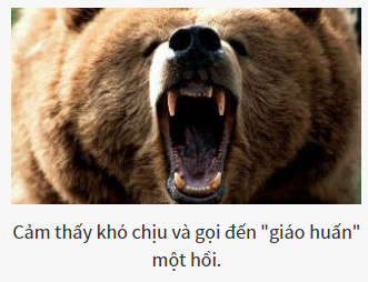 Bạn là vị chúa tể nào của thế giới hoang dã?