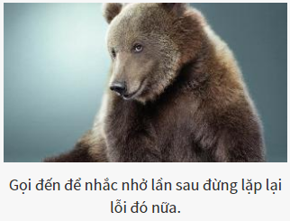 Bạn là vị chúa tể nào của thế giới hoang dã?