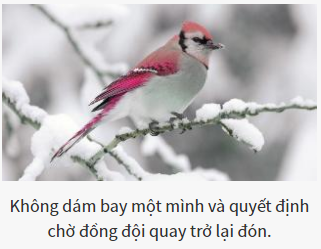 Bạn là vị chúa tể nào của thế giới hoang dã?