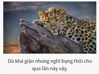 Bạn là vị chúa tể nào của thế giới hoang dã?