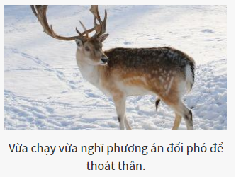 Bạn là vị chúa tể nào của thế giới hoang dã?