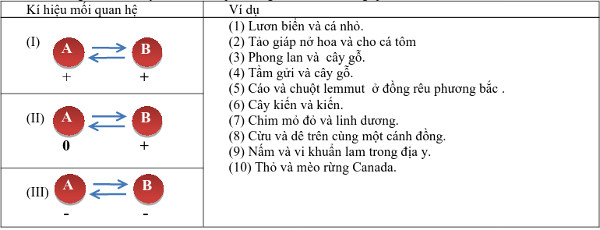 Đề thi thử đại học môn sinh 