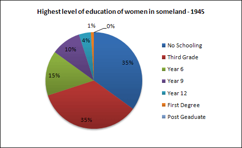 Ielts writing task 1 pie chart tips