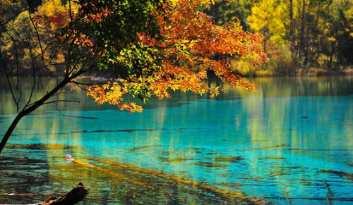 mức độ tham lam của bạn 