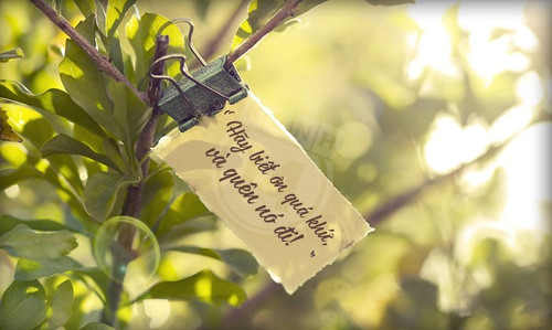 số bạn có vất vả cực nhọc không 