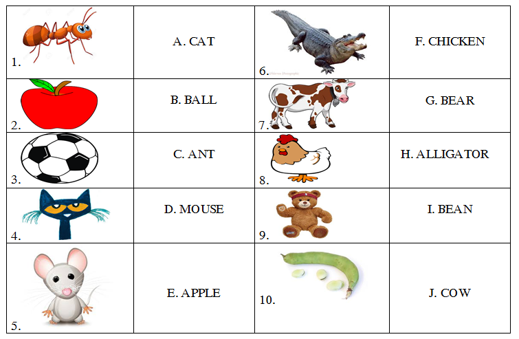 Bài tập Tiếng Anh lớp 3 Lesson 4 sách Let’s learn 3