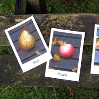 Hướng dẫn cách học từ vựng tiếng anh bằng Flashcard