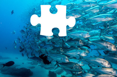 tìm mảnh ghép còn thiếu 