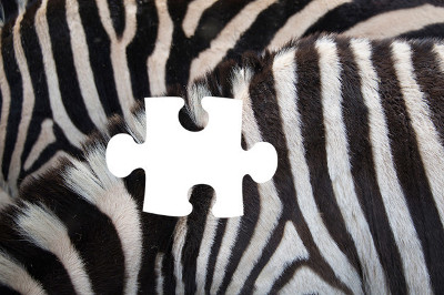 tìm mảnh ghép còn thiếu 