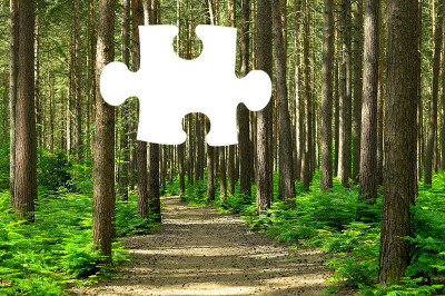 tìm mảnh ghép còn thiếu 