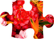 tìm mảnh ghép còn thiếu 