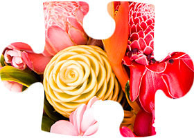 tìm mảnh ghép còn thiếu 