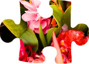 tìm mảnh ghép còn thiếu