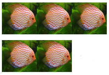 Toán lớp 1 - các số 1, 2, 3, 4, 5