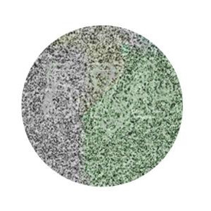 Trắc nghiệm tính cách 