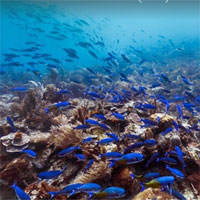 Giáo án Tự nhiên xã hội 2 bài 30