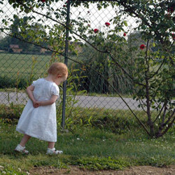 bai-tap-trac-nghiem-ve-dau-hieu-nhan-biet-va-cach-dung-thi-qua-khu-tiep-dien-de-so-2