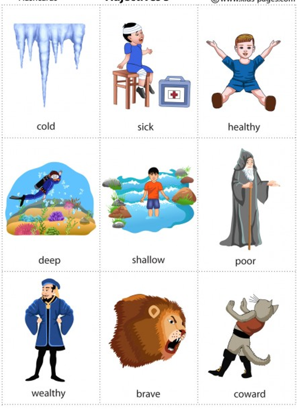 Hướng dẫn cách học từ vựng tiếng anh bằng flashcard