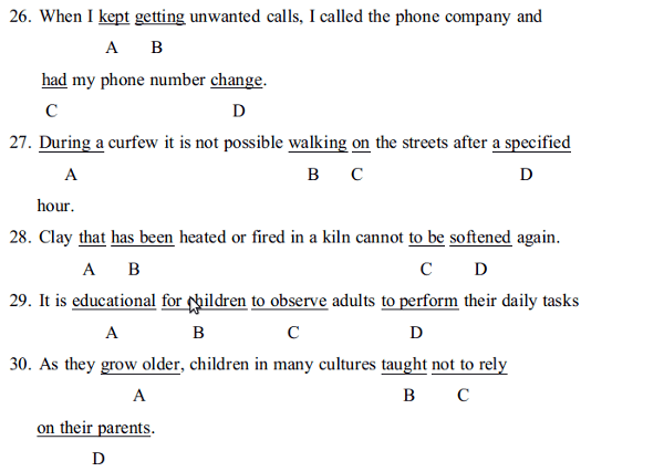 Bài tập Tiếng Anh lớp 11