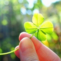 Vận may nửa cuối năm 2017 của bạn đến từ đâu?