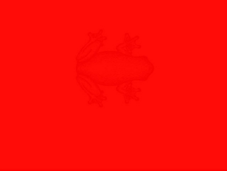 Kiểm tra độ tinh mắt và tư duy trừu tượng 