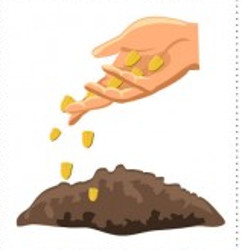 flashcard-cho-be-chu-de-mua-xuan