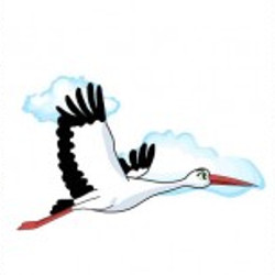 flashcard-cho-be-chu-de-mua-xuan