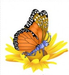 flashcard-cho-be-chu-de-mua-xuan