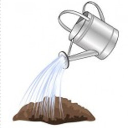 flashcard-cho-be-chu-de-mua-xuan