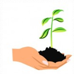 flashcard-cho-be-chu-de-mua-xuan