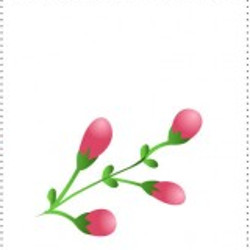 flashcard-cho-be-chu-de-mua-xuan