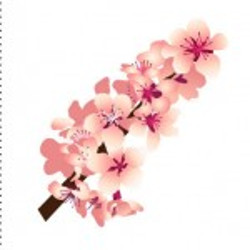 flashcard-cho-be-chu-de-mua-xuan